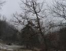 040308kleeweid