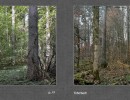 2017 008 seiten 14
