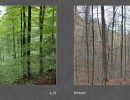 2017 015 seiten 28