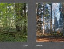 2017 020 seiten 38