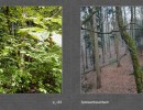 2017 029 seiten 56