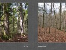 2017 033 seiten 64