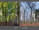 2017 034 seiten 66