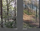 2017 040 seiten 78