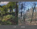 2017 041 seiten 80