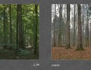 2017 042 seiten 82