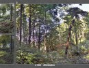 2018 041 seiten 80