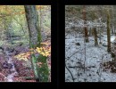 028 seiten 54
