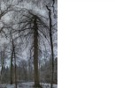 038 seiten