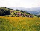 94oberalbis