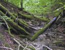 020826 eichbach p8260107