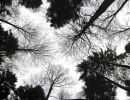 030113indenhimmel