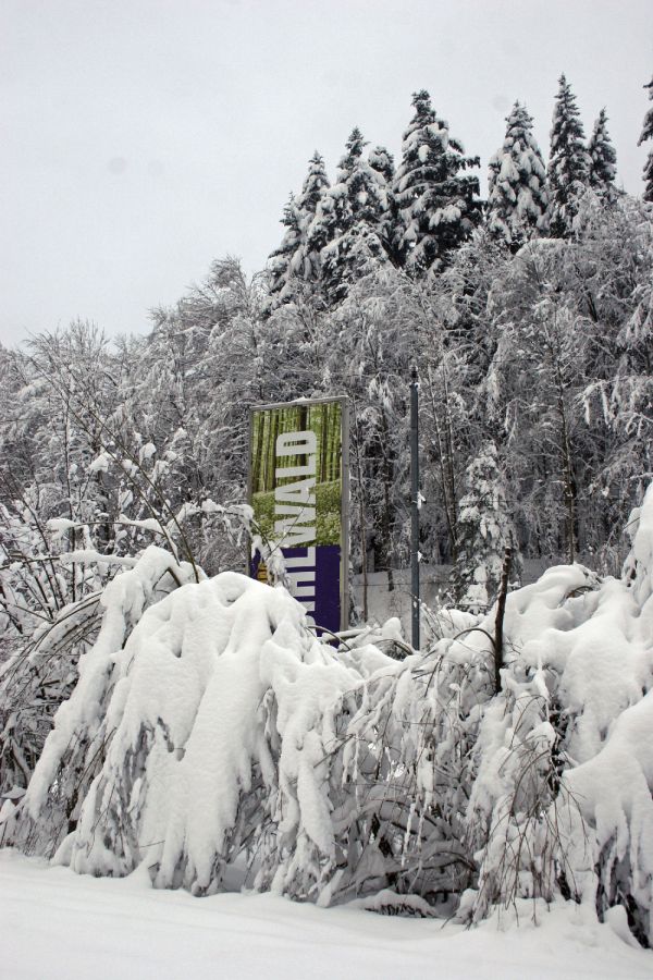 060306 img
